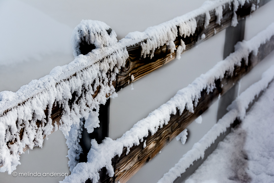 20151128-MMA_6359_melinda_anderson