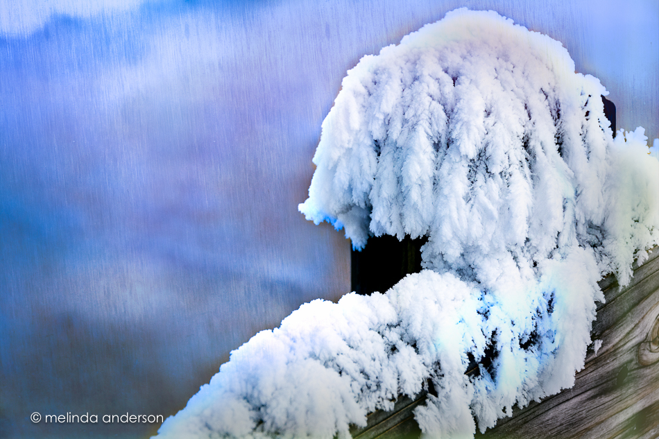 20151128-MMA_6362_melinda_anderson-Edit-2