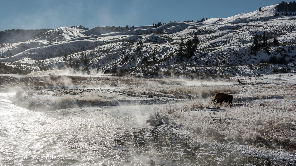 20151128-MMA_6438_melinda_anderson