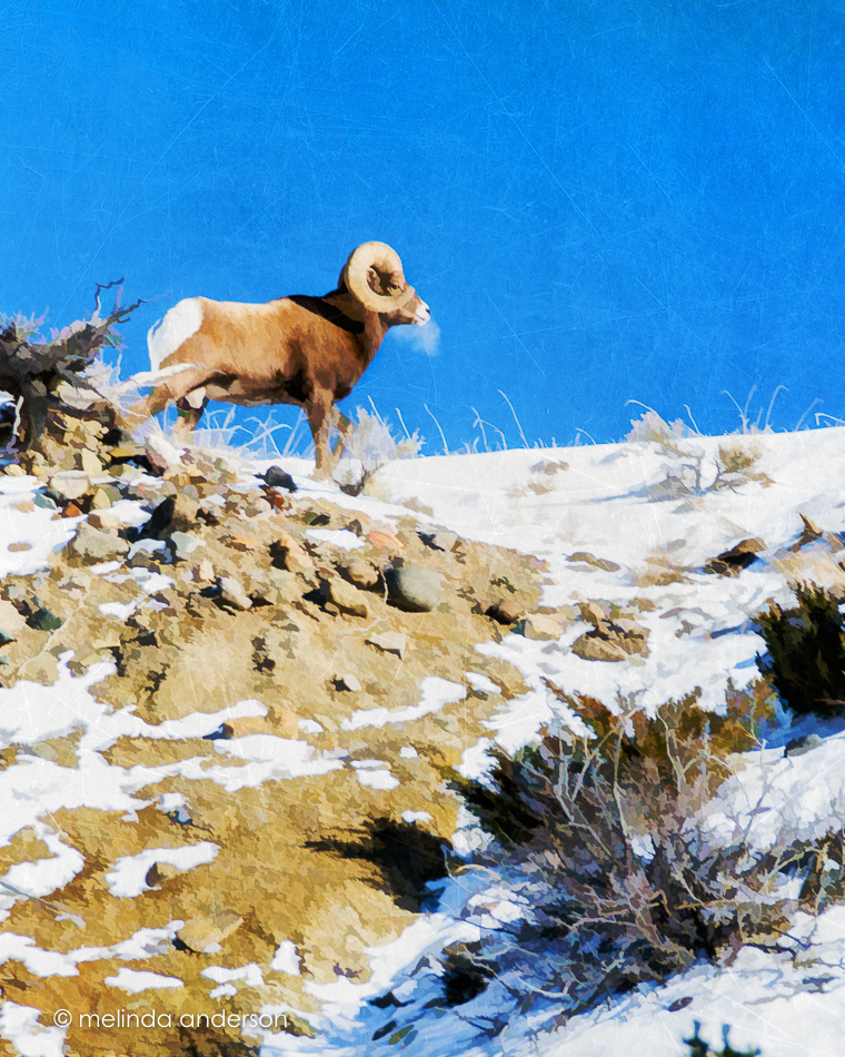 20151128-MMA_6474_melinda_anderson-Edit