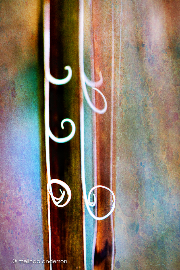 20151211-MMA_6849_melinda_anderson-Edit