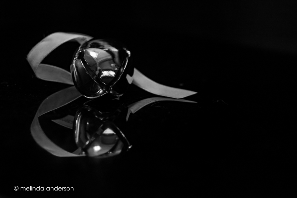 20151221-MMA_7071_melinda_anderson-Edit