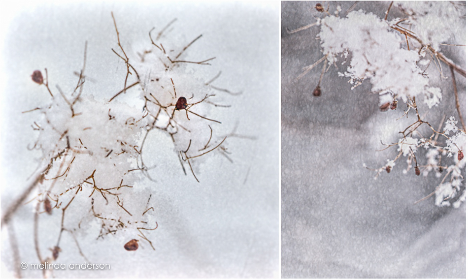 snow_macro_diptych