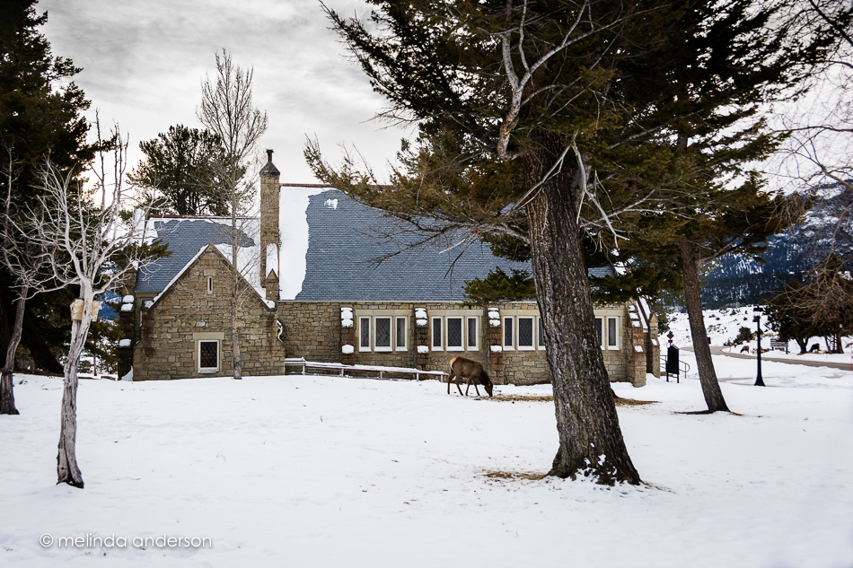 20151124-MMA_5587_melinda_anderson-Edit