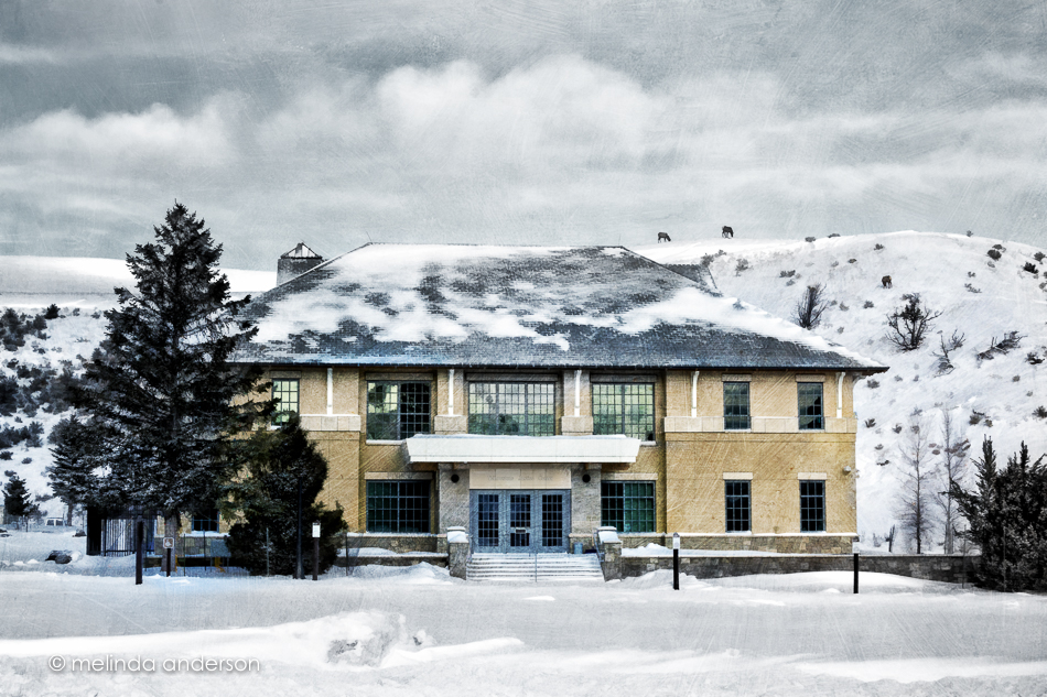 20151126-MMA_5717_melinda_anderson-Edit-Edit