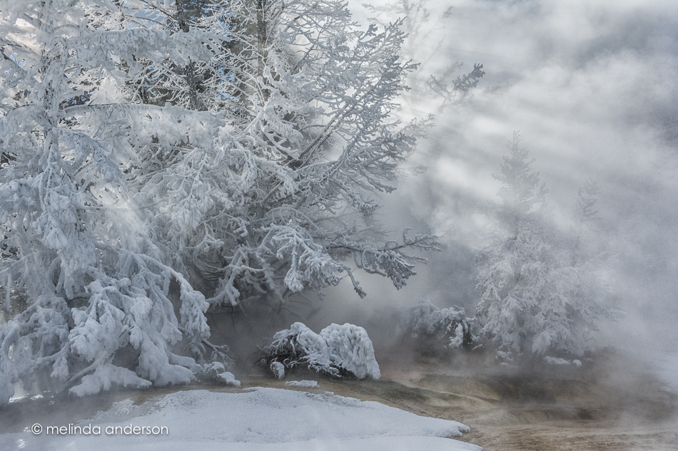 20151128-MMA_6372_melinda_anderson-Edit