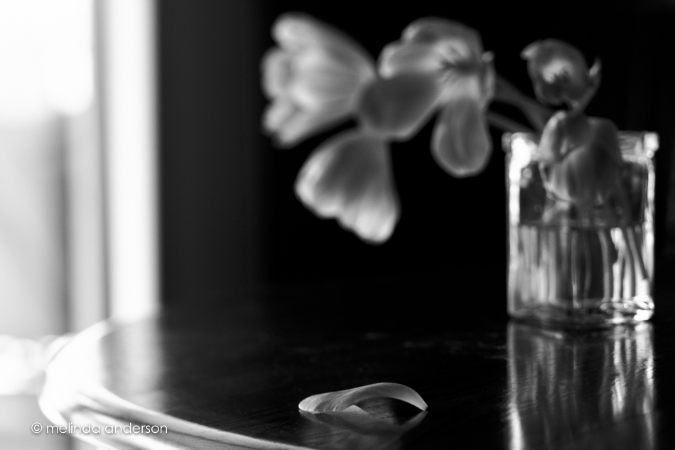 20160101-MMA_7730_melinda_anderson