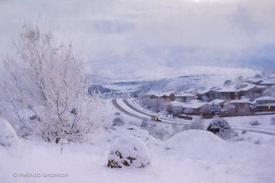 20160106-MMA_7762_melinda_anderson-Edit-2