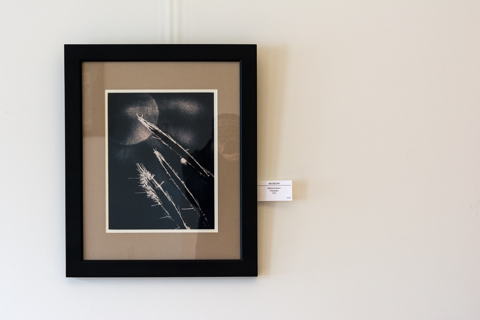 20160107-MMA_7865_melinda_anderson