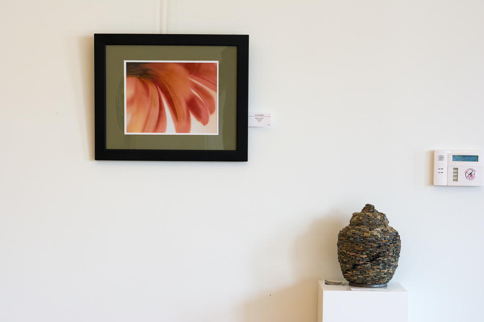 20160107-MMA_7866_melinda_anderson