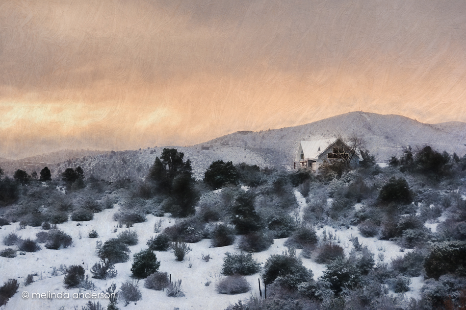 20160108-MMA_7899_melinda_anderson-Edit