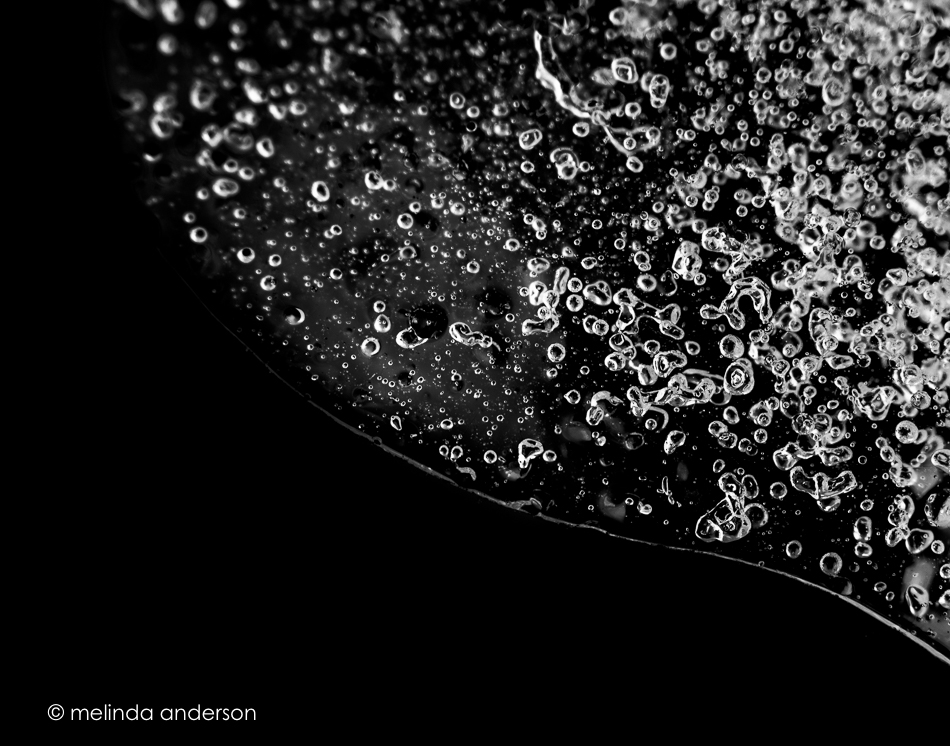 20160114-MMA_7931_melinda_anderson