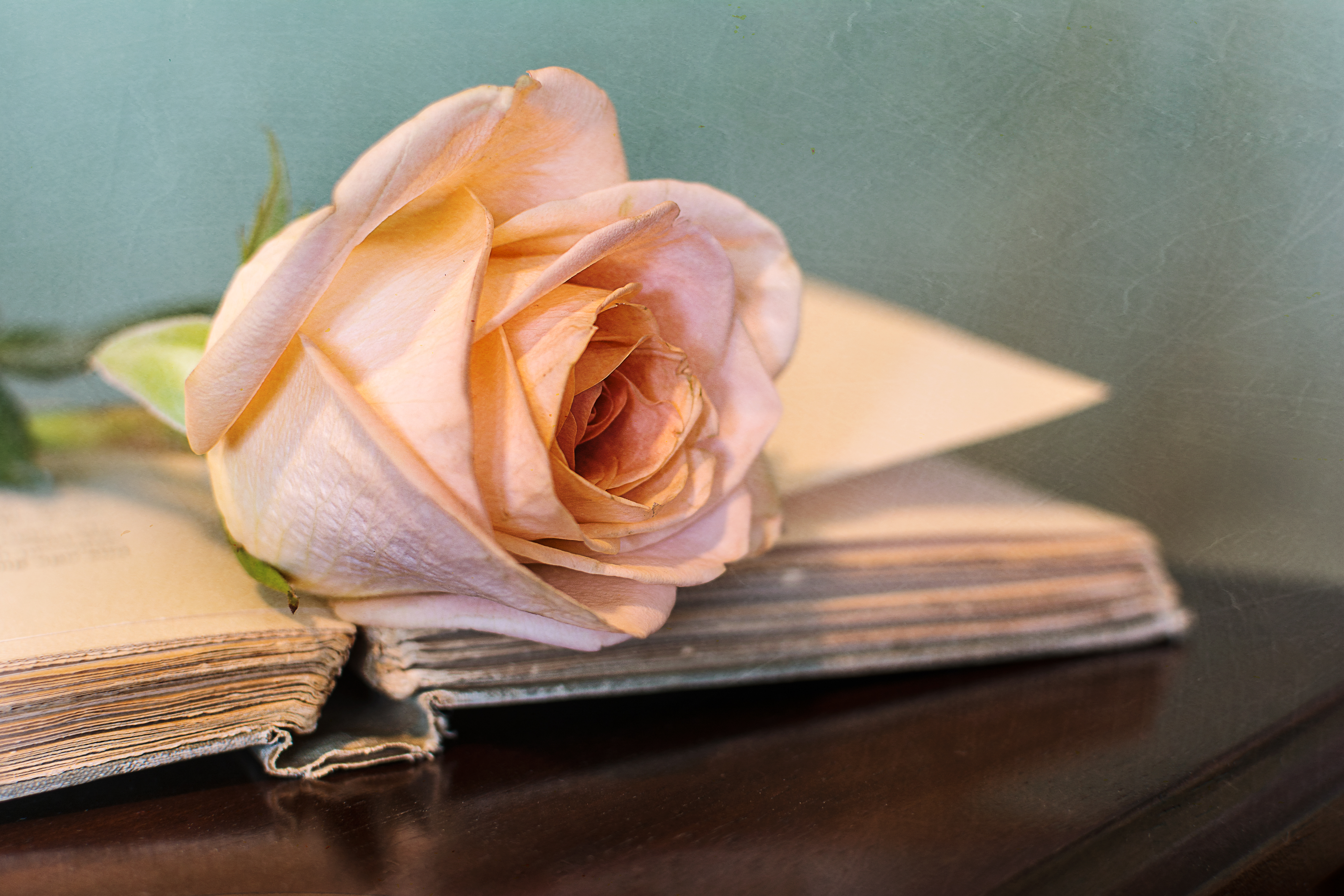 20160212-MMA_8730_melinda_anderson-Edit