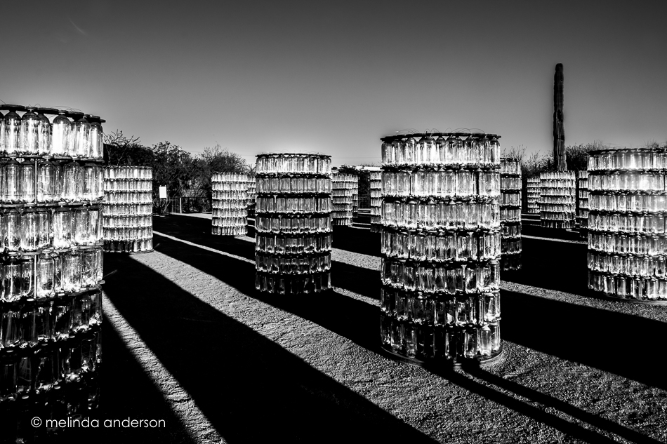 20160221-MMA_8961_melinda_anderson