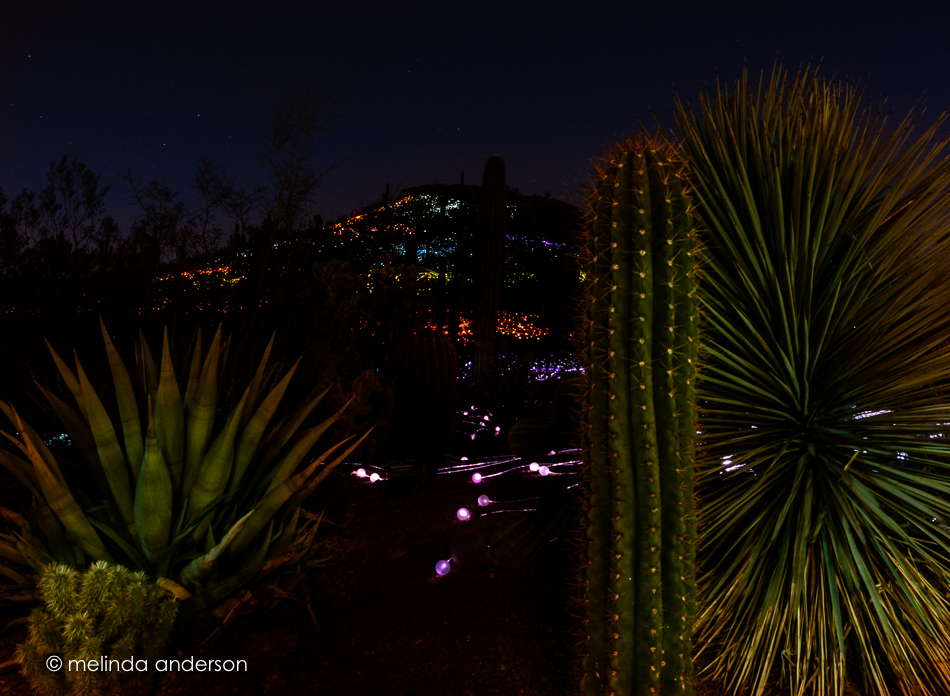 20160221-MMA_9065_melinda_anderson