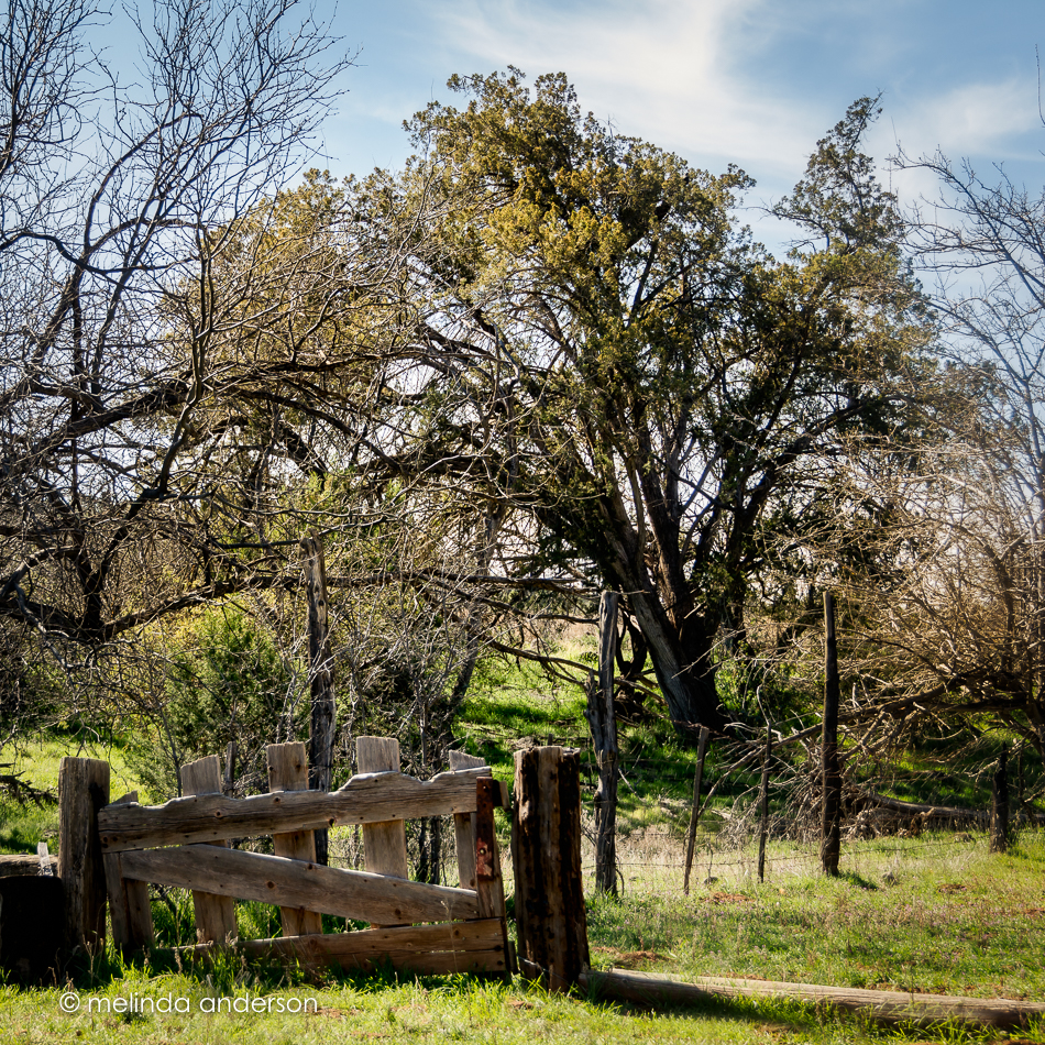 20160229-MMA_9133_melinda_anderson-Edit