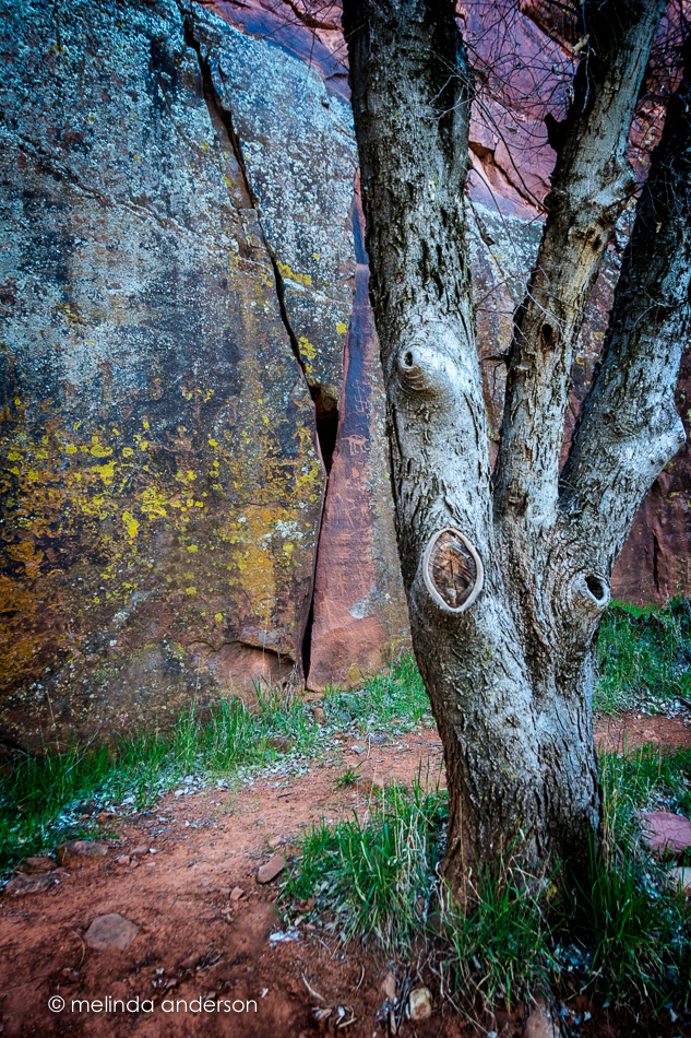 20160229-MMA_9188_melinda_anderson-Edit