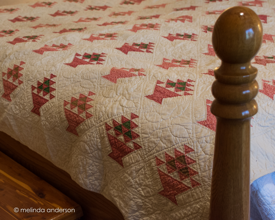 20160324-MMA_9811_melinda_anderson