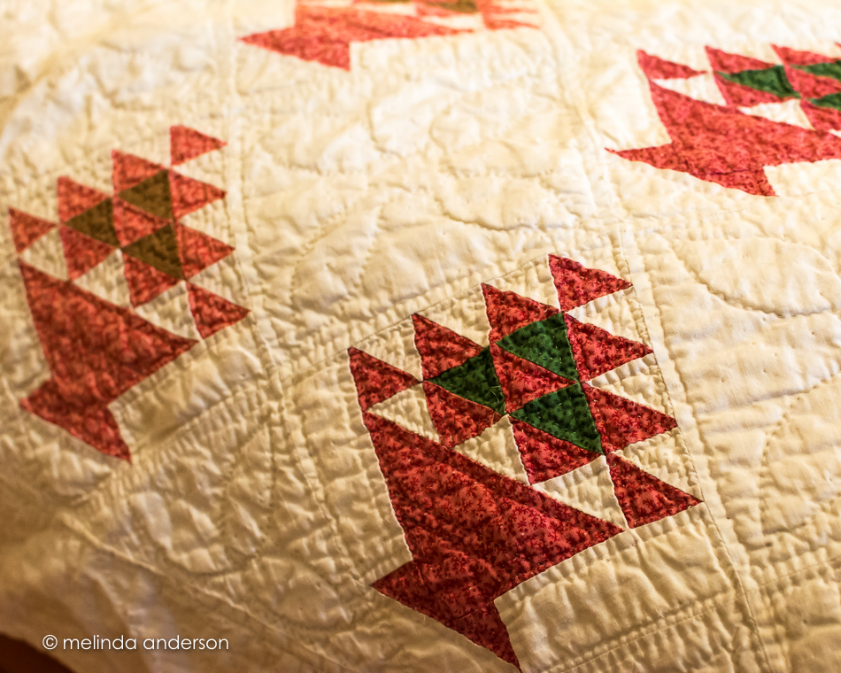 20160324-MMA_9812_melinda_anderson