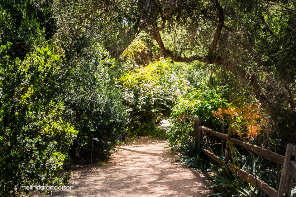 20160416-MMA_0108_melinda_anderson