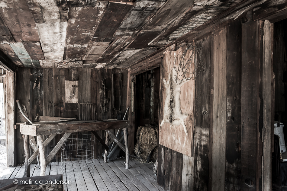 20160416-MMA_0250_melinda_anderson