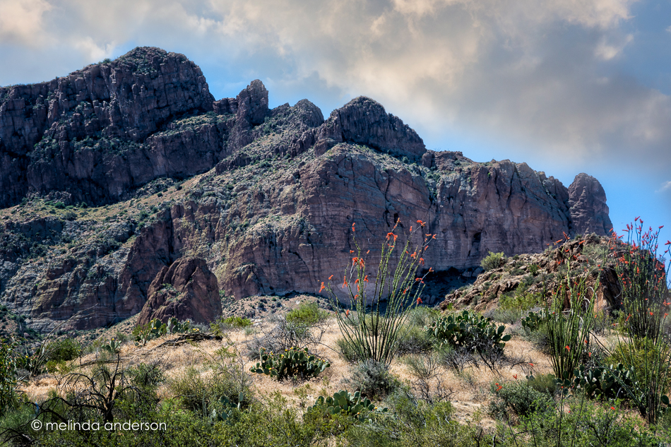 20160416-MMA_0340_melinda_anderson-Edit