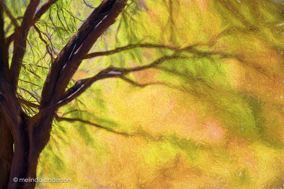 20160416-MMA_0397_melinda_anderson-Edit