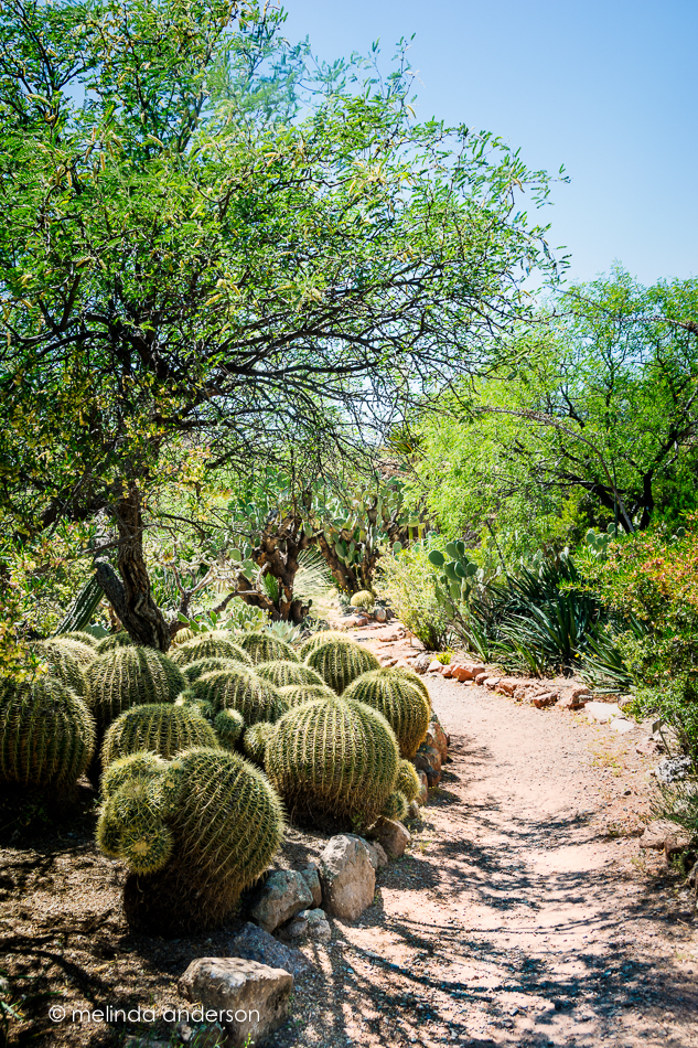 20160416-MMA_0553_melinda_anderson-Edit