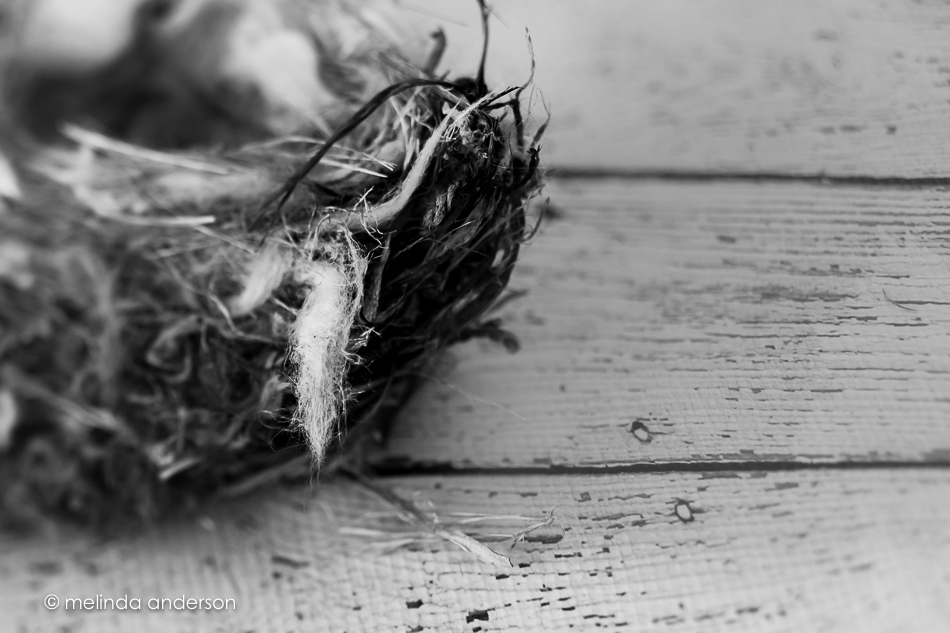 20160508-MMA_0981_melinda_anderson