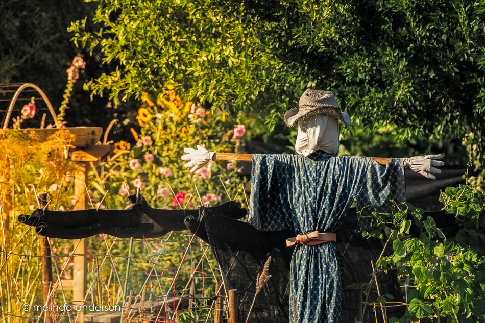 20160526-MMA_1325_melinda_anderson-Edit