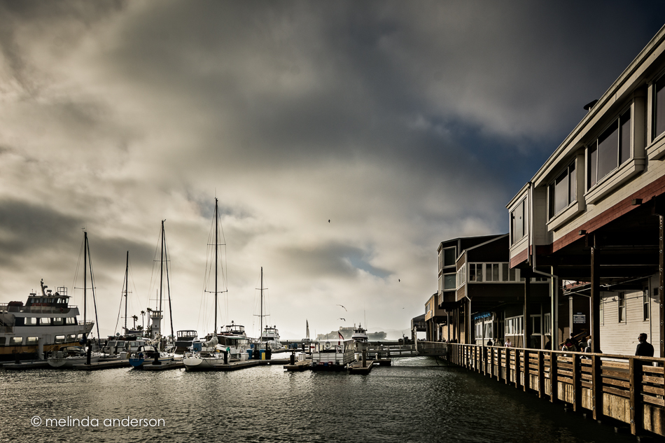 20160629-MMA_2267_melinda_anderson-Edit