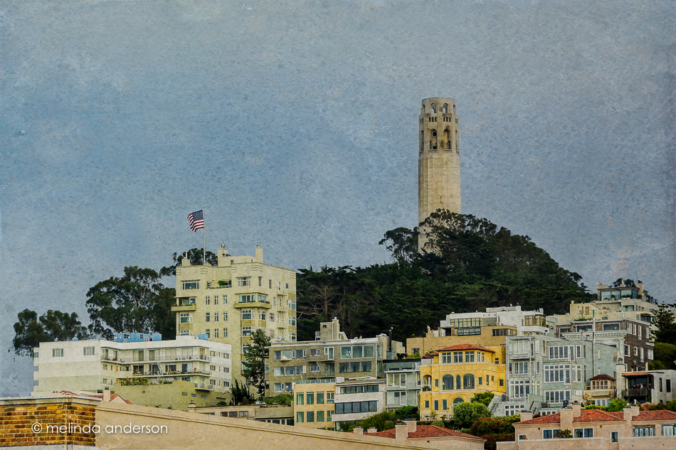 20160629-MMA_2336_melinda_anderson-Edit