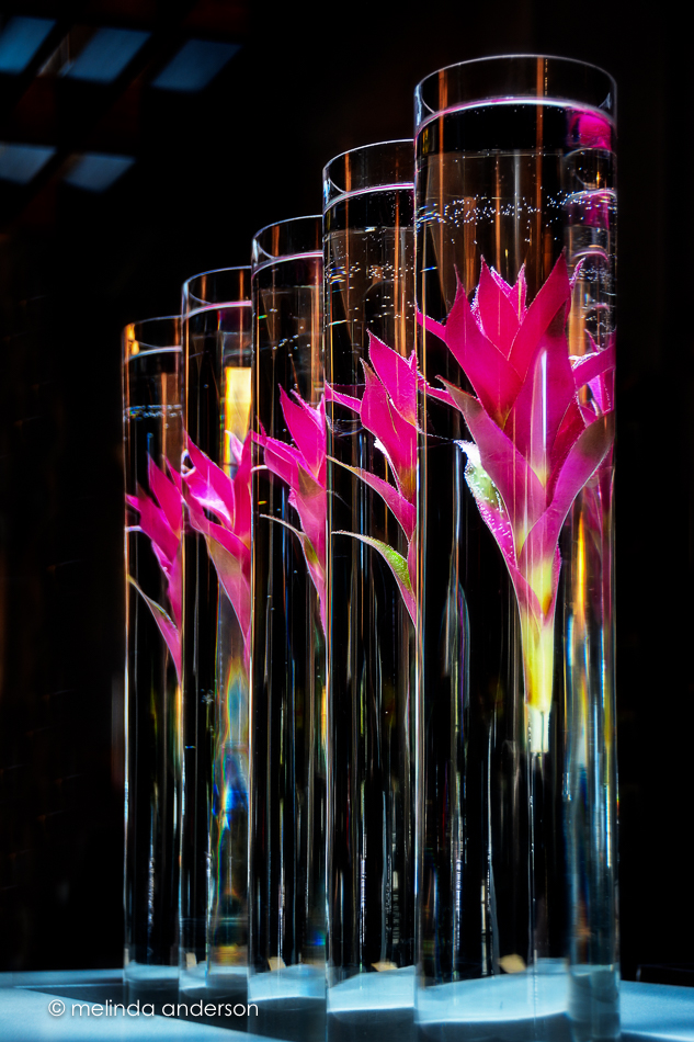 20160630-MMA_2781_melinda_anderson-Edit