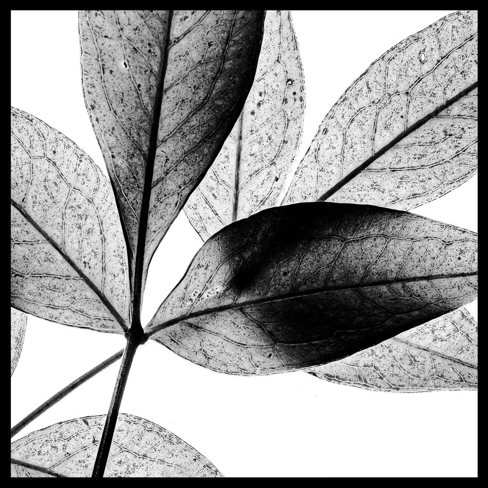 20160720-MMA_3395_melinda_anderson-Edit-2