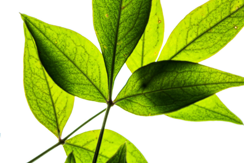 20160720-MMA_3397_melinda_anderson-Edit