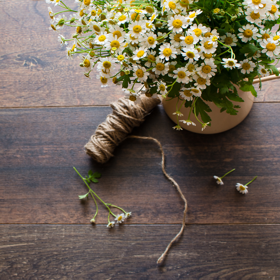 20160722-MMA_3420_melinda_anderson