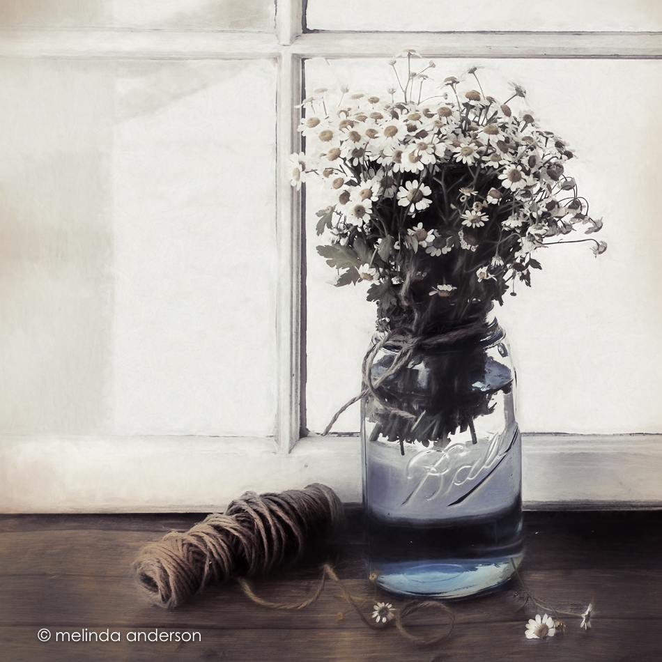 20160728-MMA_3488_melinda_anderson-Edit