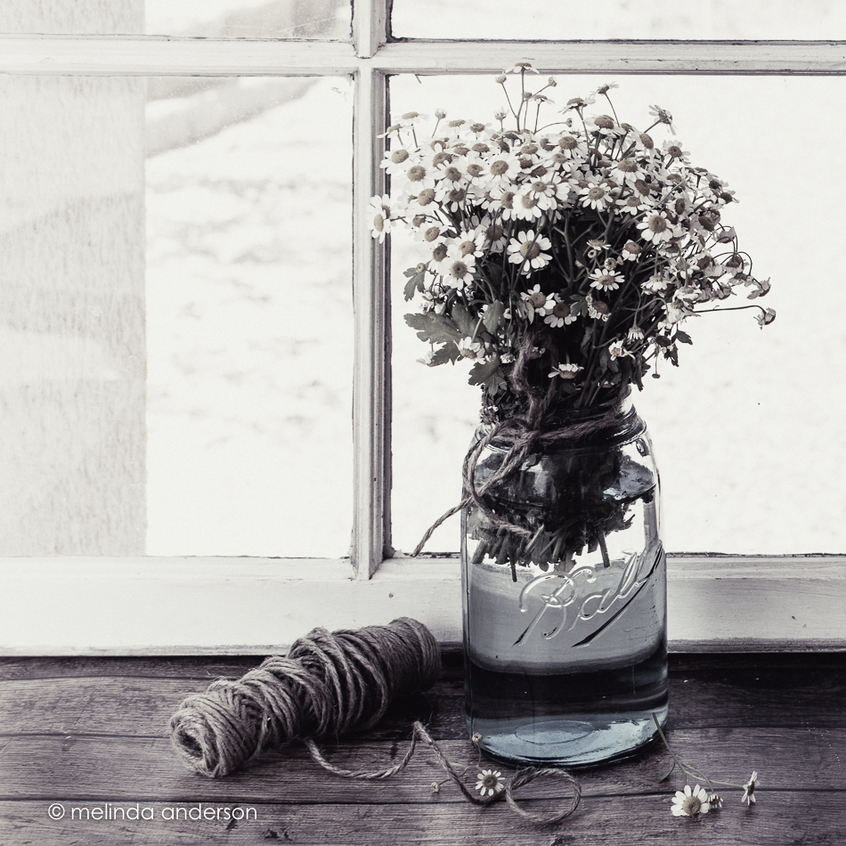 20160728-MMA_3488_melinda_anderson