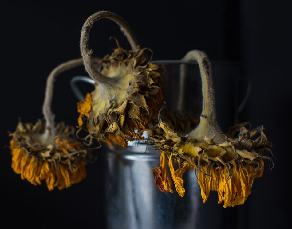 20160825-MMA_5352_melinda_anderson