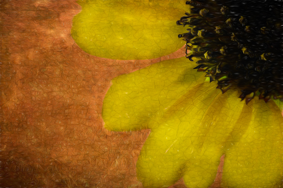 20160902-mma_5773_melinda_anderson-edit