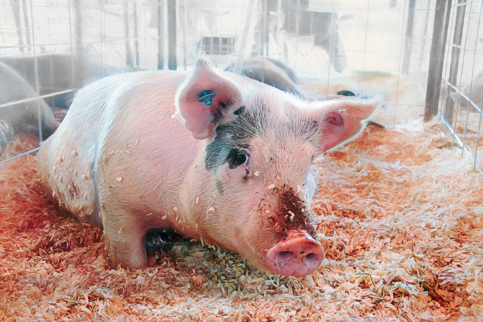 20160910-mma_5799_melinda_anderson-edit