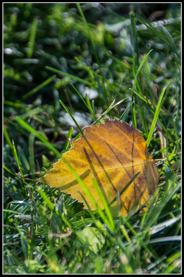 20160923-mma_6169_melinda_anderson-edit