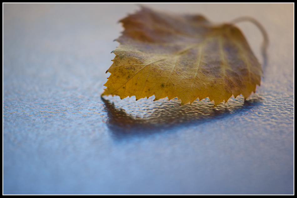 20160925-mma_6807_melinda_anderson-edit