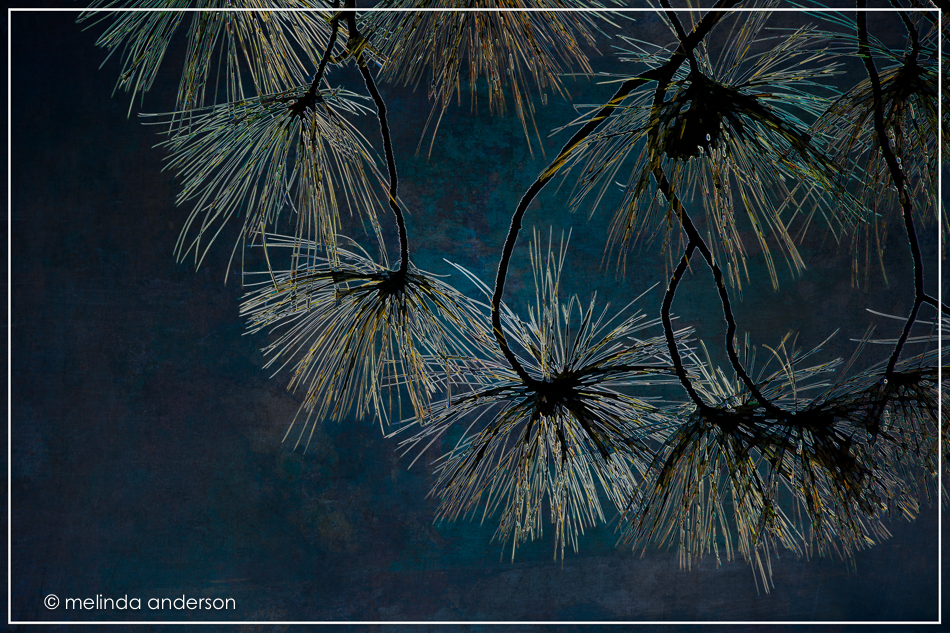 20160923-mma_6043_melinda_anderson-edit