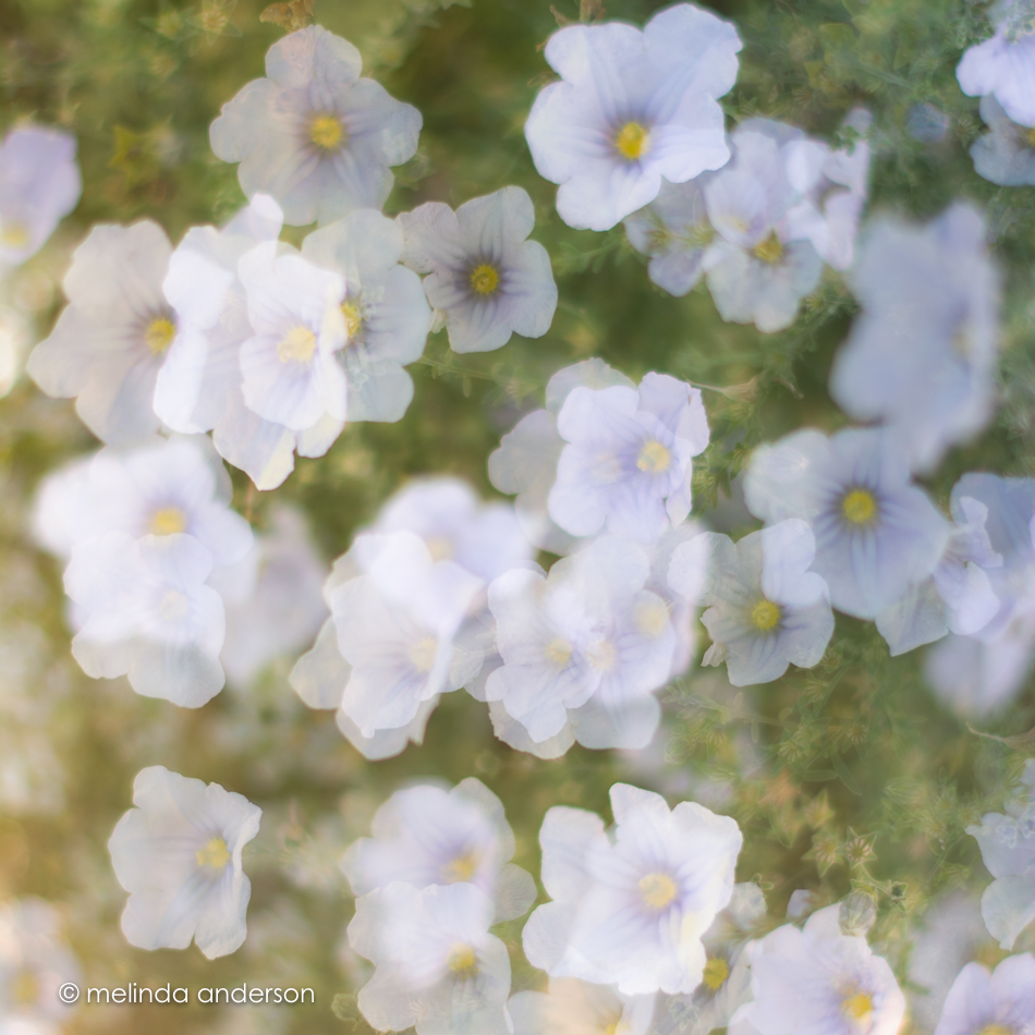 20161005-mma_6938_melinda_anderson