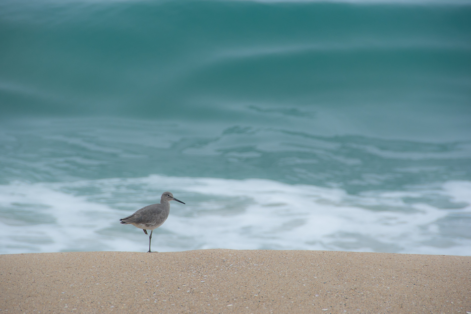 20161014-mma_7230_melinda_anderson