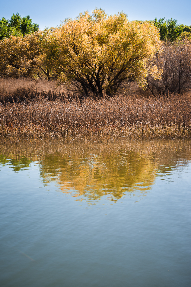 20161021-mma_7547_melinda_anderson