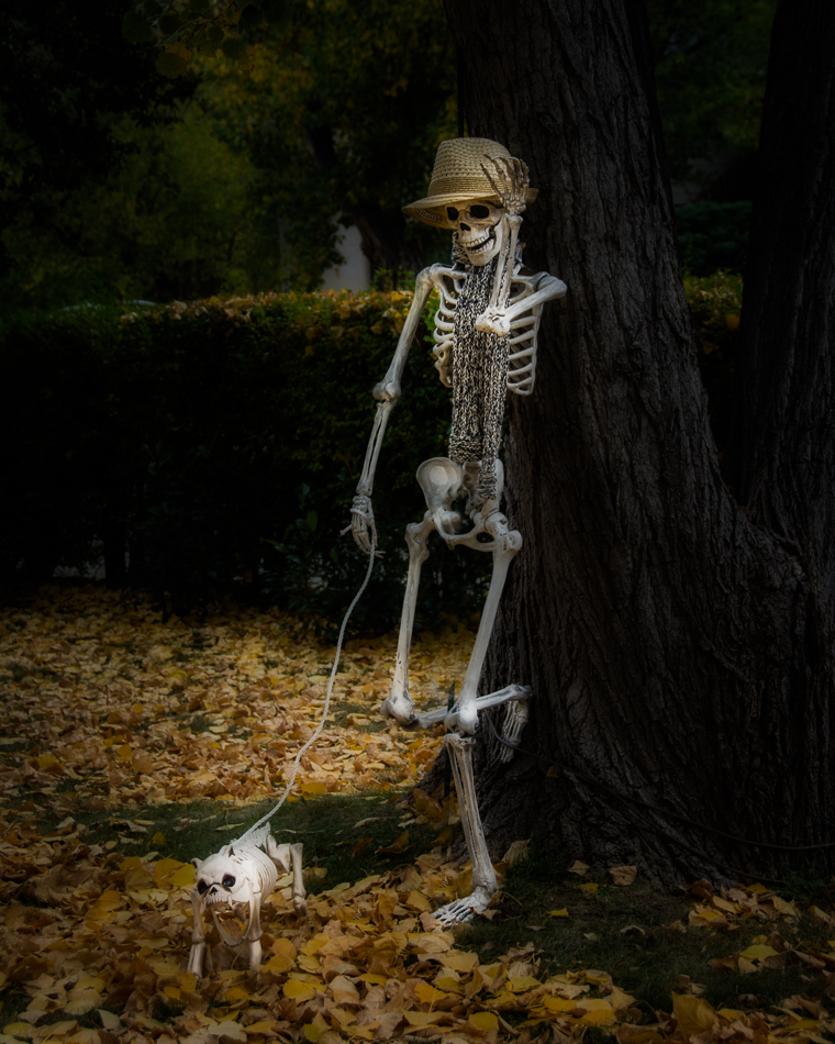 20161024-mma_7821_melinda_anderson-edit-2