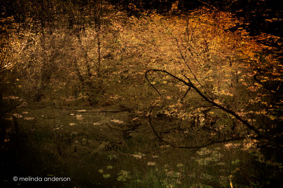 20161021-mma_7606_melinda_anderson-edit