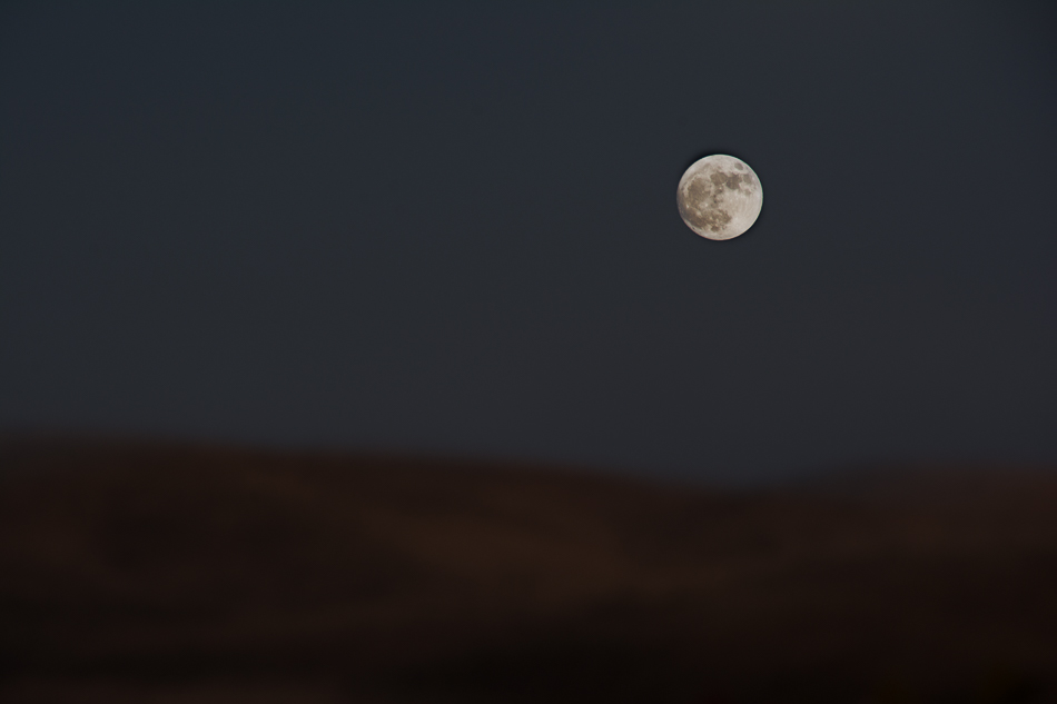 20161113-mma_9454_melinda_anderson-edit